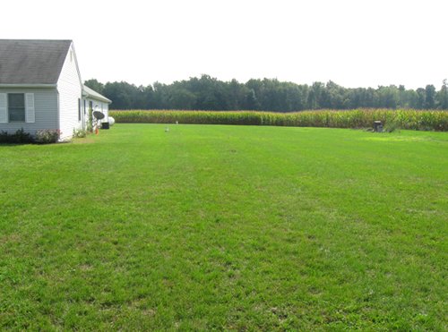 Property photo 1 - Real Estate Auction - 31+/- Acres Offered in 3 Tracts Including a 3-Bedroom Home
